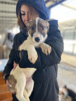 606974624 32942918228685540 3873966361183992388 n