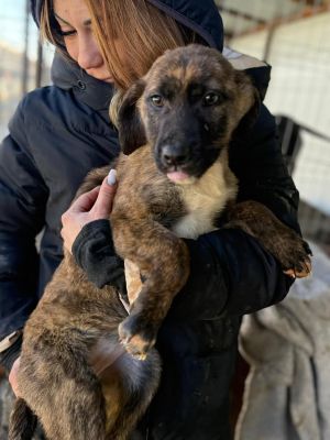 606979741 32942056302105066 5527150326966898571 n