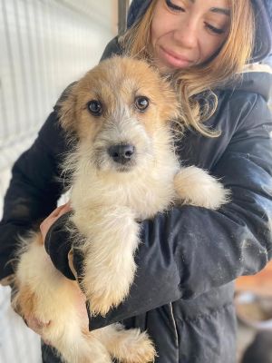 606999836 32943003835343646 4045085392346752924 n