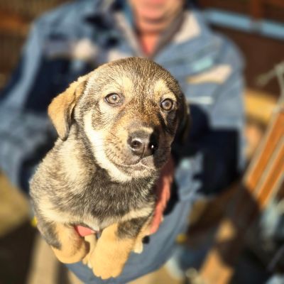 607301950 909707368074849 9153214104127110980 n