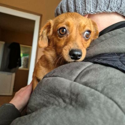 607319249 1683373893071898 4758231406784483584 n