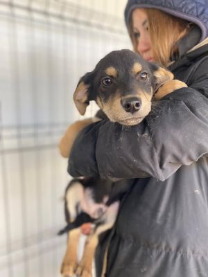 607429906 32943065652004131 1936631052301159690 n