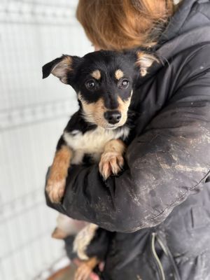 607433444 32905130102464353 319674448268422441 n