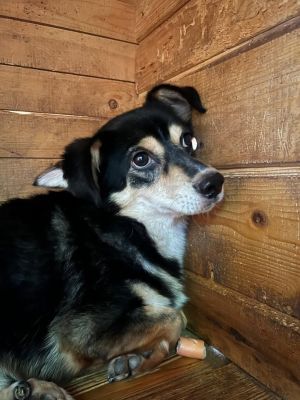 607452248 25624884503818801 2838857525057305742 n