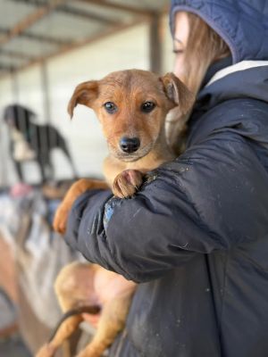 607490939 32942253285418701 8966972955030634028 n