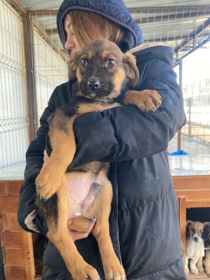 607490986 32942531135390916 6772840387543289817 n