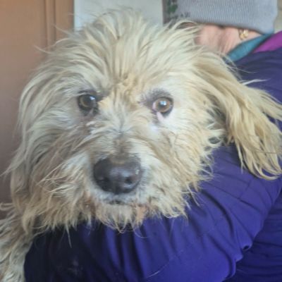 607511330 708992155415350 7136526557371207798 n