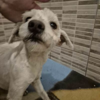 607573873 1278475367454042 8246017802438353315 n