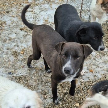 607575283 1644841750011806 8751409240709205623 n