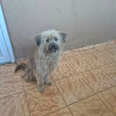 607577806 1387498343071813 6357064649770358562 n