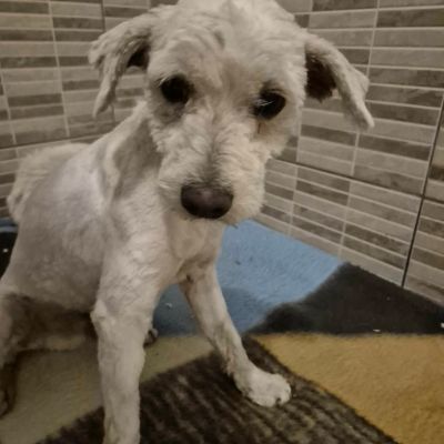 607620332 1218091717095828 8626284019485010551 n