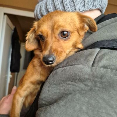 607708037 906409305672798 2507490584051538069 n