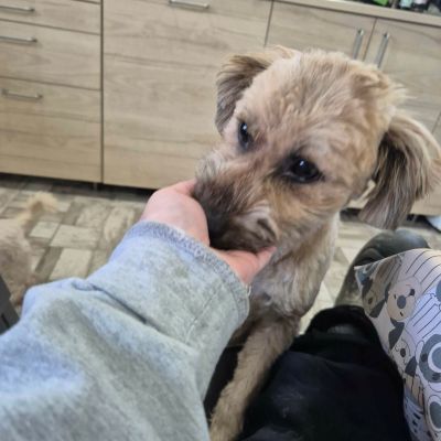 607811089 2044904529701801 5096677547260627786 n