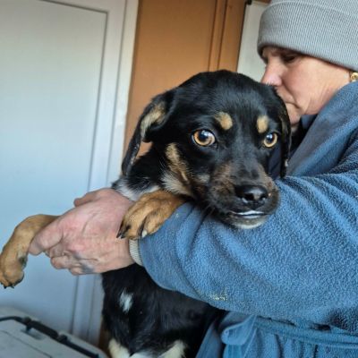 607825417 1146315187364995 460695141823988390 n