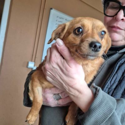 607878430 731537532971221 7091557019424023845 n