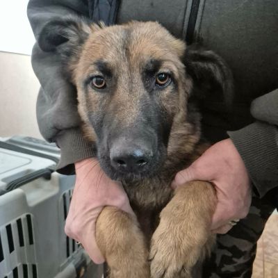 607891572 24817087427966377 687712805797992589 n