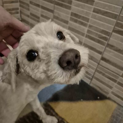 607909097 1768312320503860 7947773931405830857 n