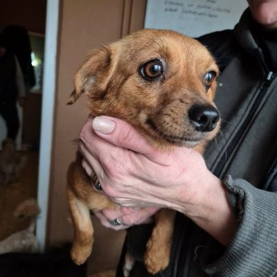 607971038 1188834990040886 8824607731106582141 n