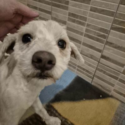 608003527 1488729988894226 1817854502708020900 n