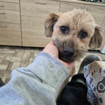 608093373 1831848200808004 3899916803789908569 n