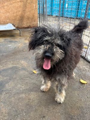 608099892 25624933933813858 1021492257857928786 n