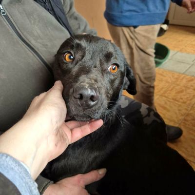 608258378 1197296082530186 6370996629218397101 n