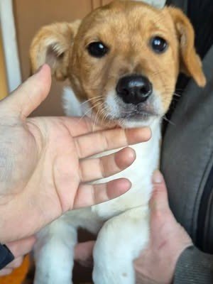 608510622 25650405671266684 1422652554500094606 n