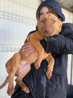 608512916 32942307688746594 3023600665043839525 n