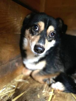 608519710 25624884437152141 4939236786915443665 n