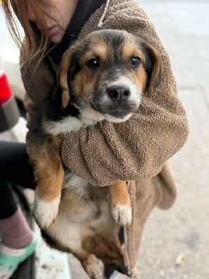 608701072 25641222805518304 6507481799395136823 n