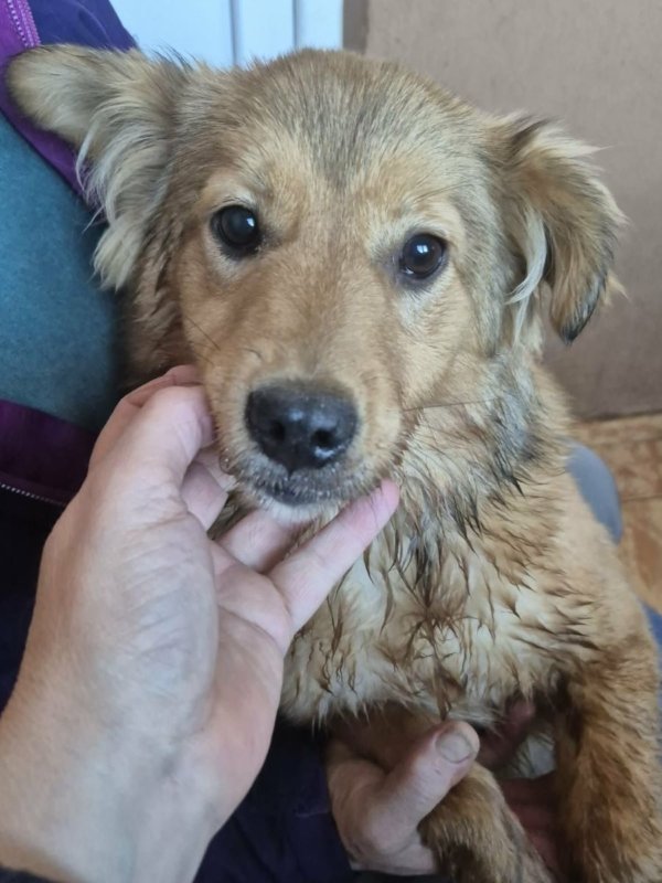 608730592 1661954878545560 6218554470509238361 n