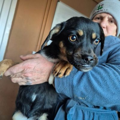 608811175 1881180882490045 3721029870380563921 n