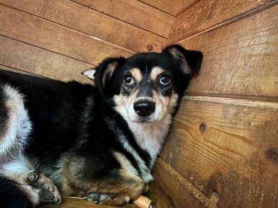 608867279 25624884660485452 6349179168696951758 n