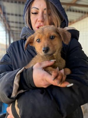 608908426 32942189792091717 7314258986412640479 n