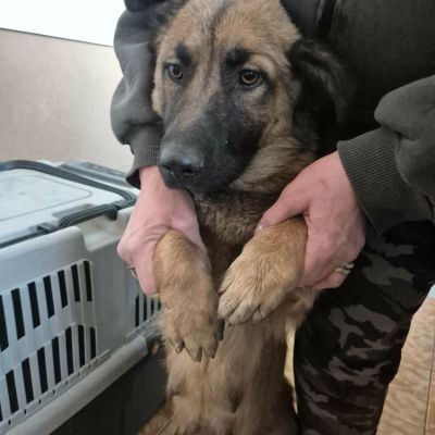 609300642 877855284836191 8341301986903298350 n