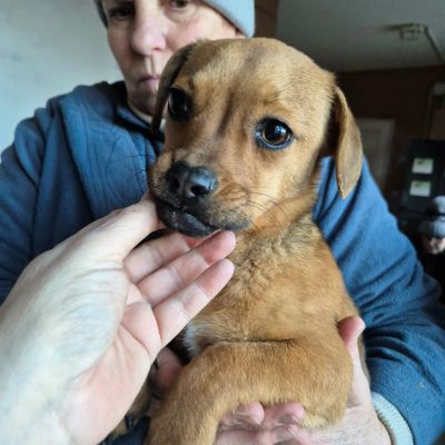 609326014 788474467586910 2117262242009216405 n