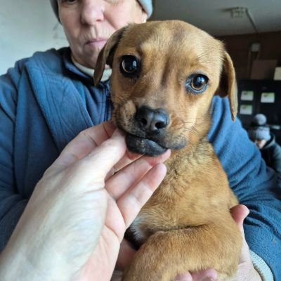 609644908 1936135647015732 4752783269469643137 n