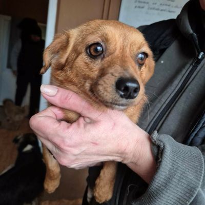 610047197 1291143896110184 6470365886331010916 n