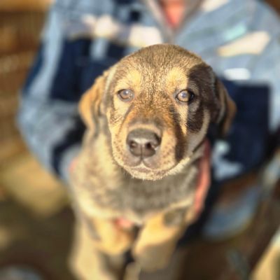 610133290 1925459561398192 5852625447219530391 n