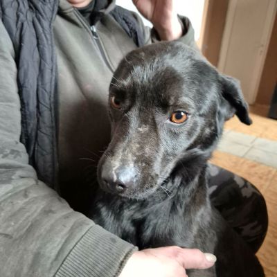 610488906 1972813793449203 7613628297261133260 n