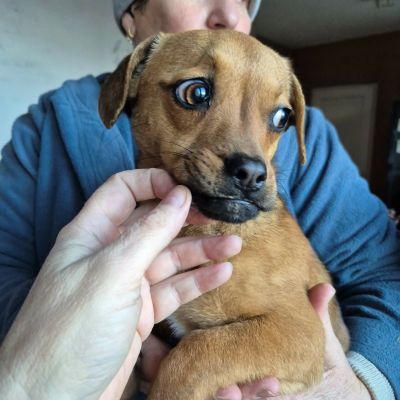 610491922 1950349015823401 7113124099748123869 n