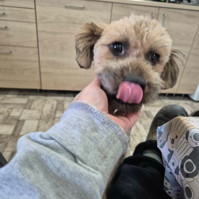 610496982 2114025649385573 3783748661684786596 n