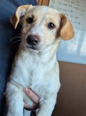 610619040 25650286764611908 1633309178948352951 n