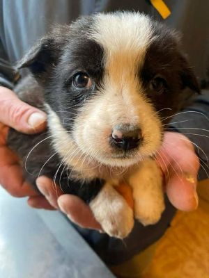 610662997 25650520064588578 978808267082888194 n