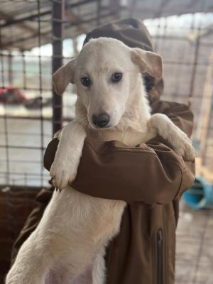 610916241 25640732388900679 766451171130714971 n