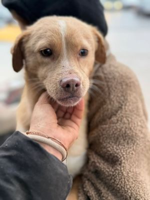 610916455 25641390942168157 515209958112662038 n