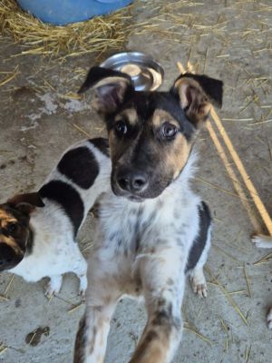 610932016 1443527160878488 6523817193319464362 n