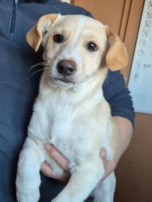 611154292 25650287074611877 3964834497496002951 n