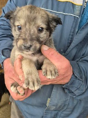 611154298 25650603157913602 8448172511392077129 n