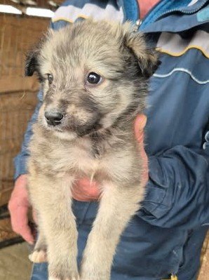 611262249 25650704904570094 5517248476991700761 n